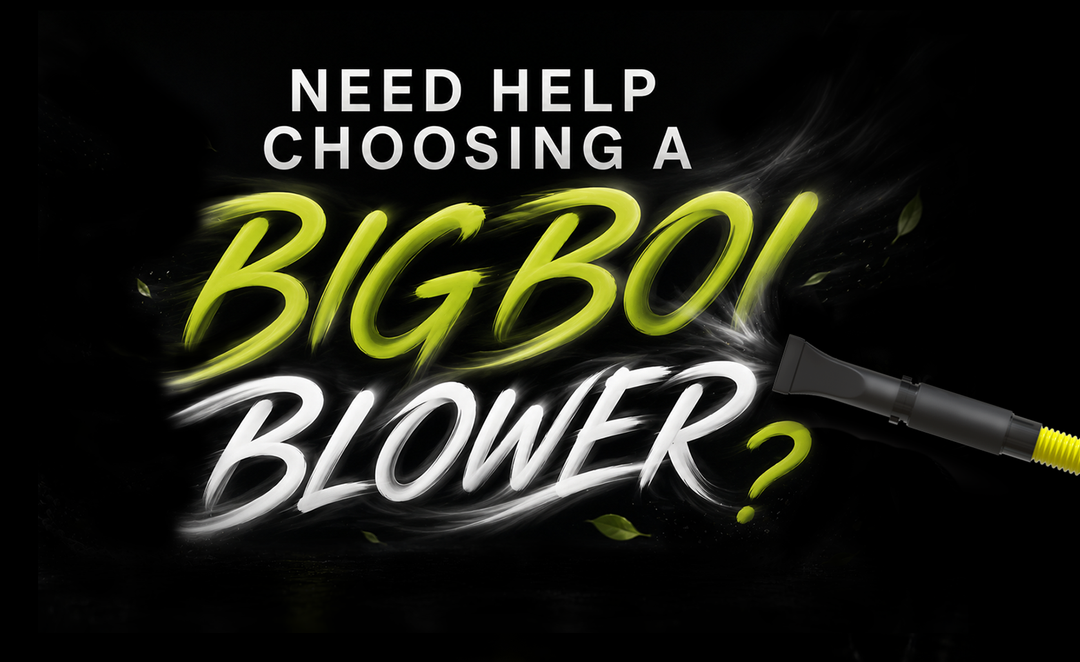 Choosing a Bigboi BLOWR ?
