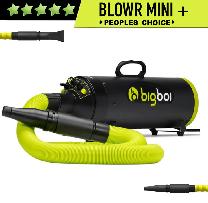 MK2 Bigboi Mini PLUS