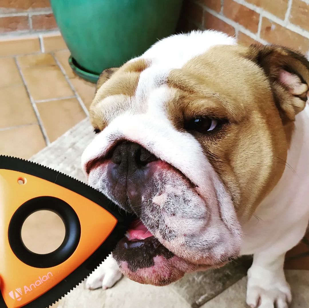 Analan Pet Hair detailer removal tool 2.0